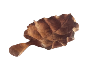 Everleaf transparent background