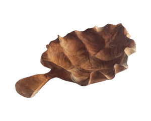 Everleaf transparent background Everleaf transparent background