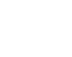 White Timber Delights logo with transparent background